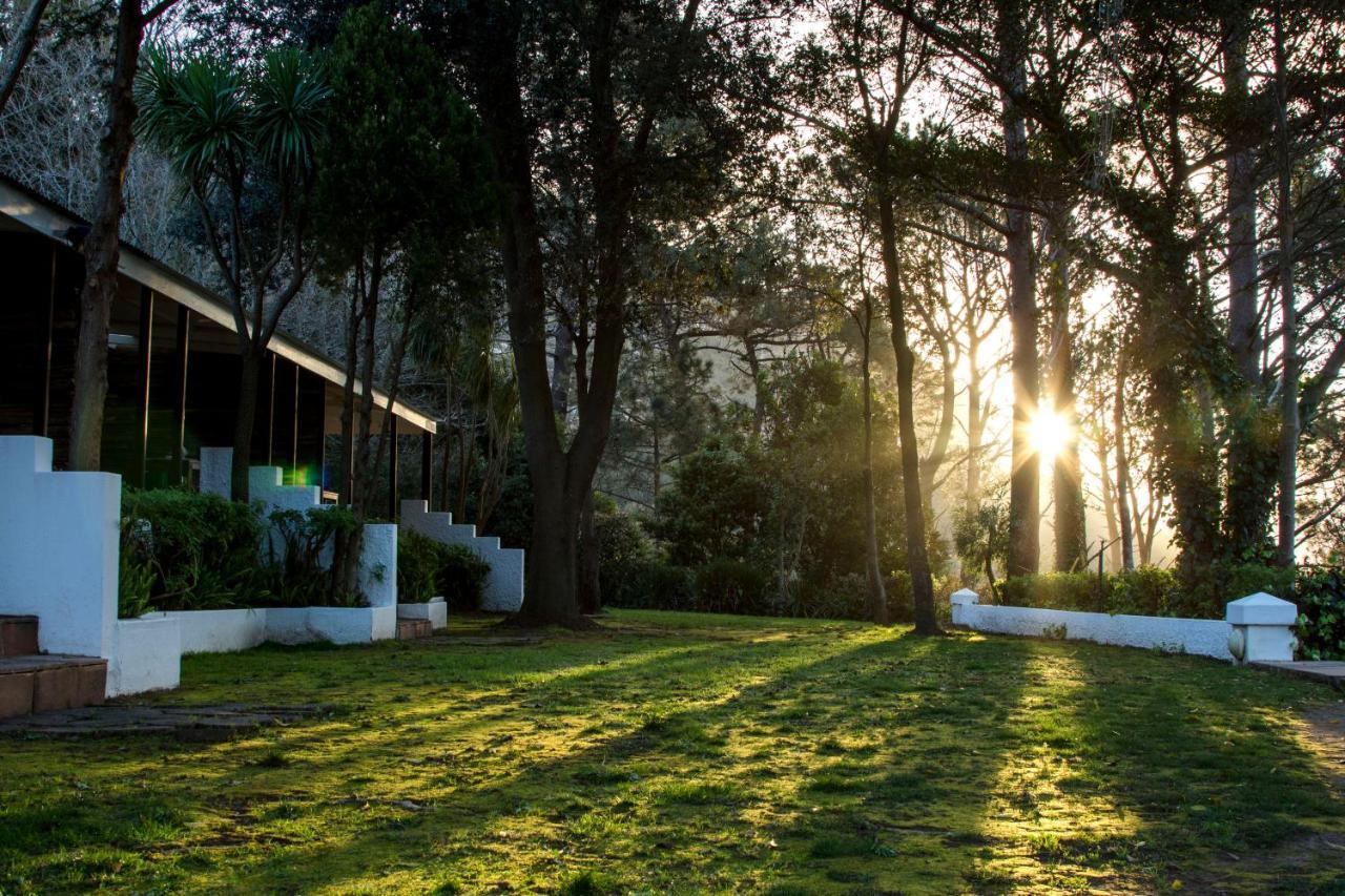 Silvermist Wine Estate Cape Town Exterior photo